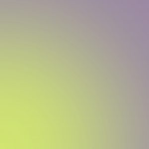 FondDegrade